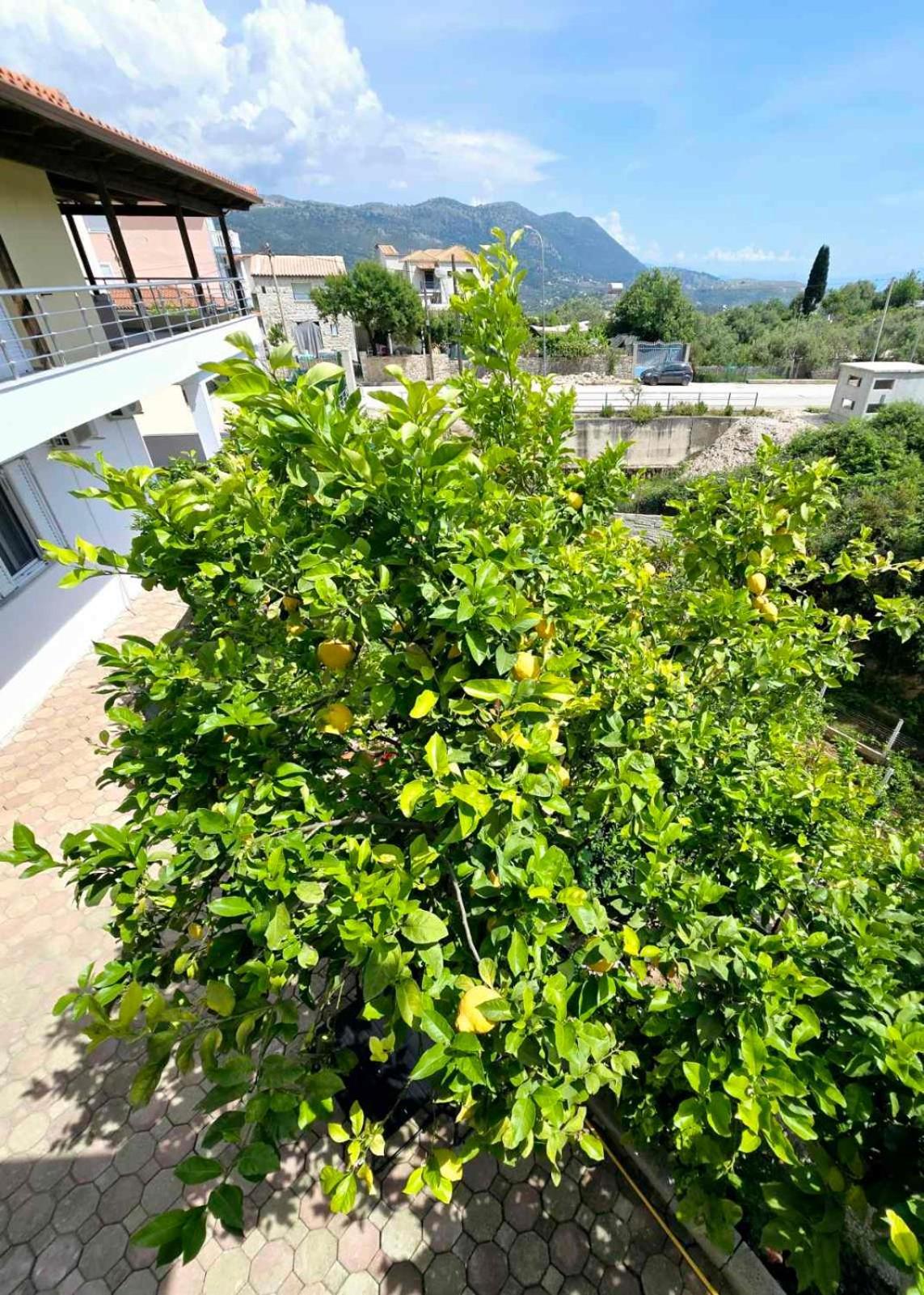 הימארה Philoxenia Guest House מראה חיצוני תמונה