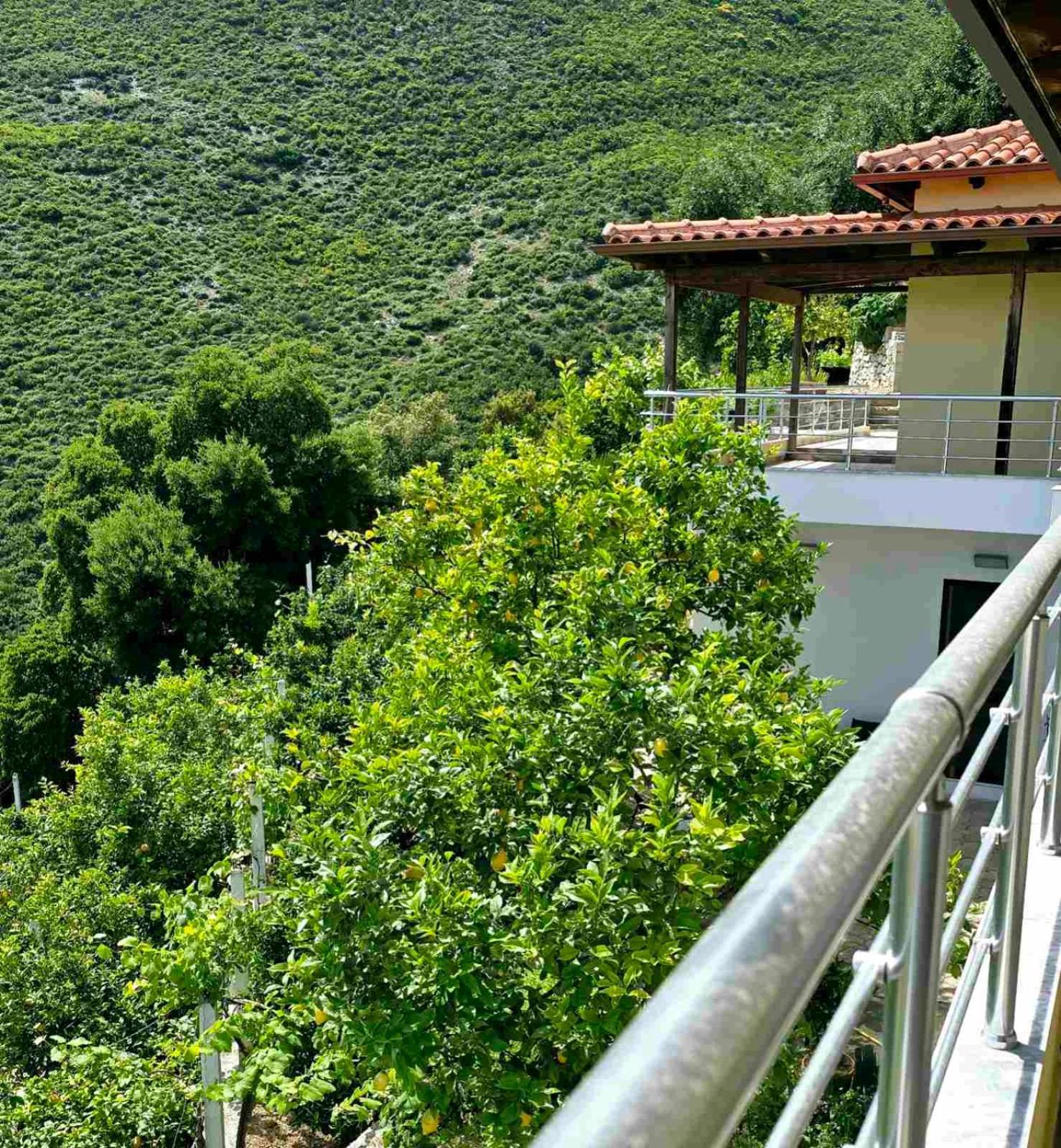 הימארה Philoxenia Guest House מראה חיצוני תמונה